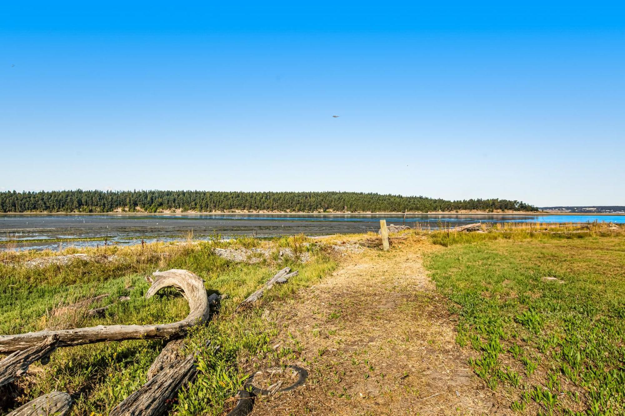 Marrowstone Island Beach Cabin Екстериор снимка